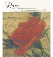 Roses Wall 2000