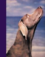 William Wegman Journal. Looking Up