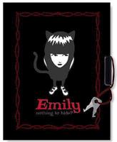 Emily's "Nothing to Hide?" Locking Diary