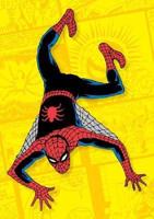 Spiderman Journal