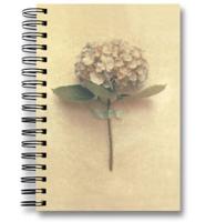 Hydrangea Journal