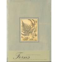 Ferns Postal Cards