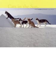 Cats in the Sun 2003 Calendar