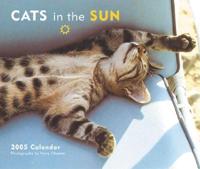 Cats in the Sun 2005 Calendar