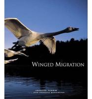 Winged Migration