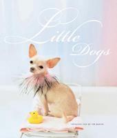 Little Dogs