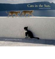 Cats in the Sun 2009 Calendar