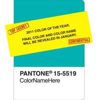 Pantone Honeysuckle 2011 Color of the Year Journal