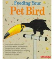 Feeding Your Pet Bird