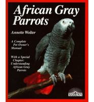 African Gray Parrots