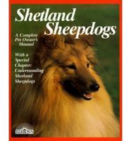 Shetland Sheepdogs