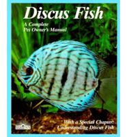Discus Fish
