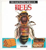 The Fascinating World Of- Bees