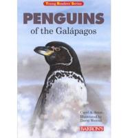 Penguins of the Galápagos