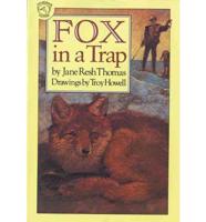 Fox in a Trap