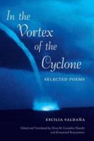 In the Vortex of the Cyclone