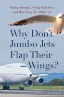 Why Don't Jumbo Jets Flap Their Wings?