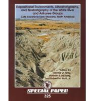 Depositional Environments, Lithostratigraphy, and Biostratigraphy of the White River and Arikaree Groups (Late Eocene to Early Miocene, North America)
