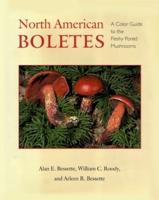 North American Boletes