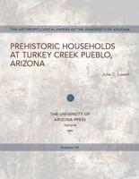 Prehistoric Households at Turkey Creek Pueblo, Arizona