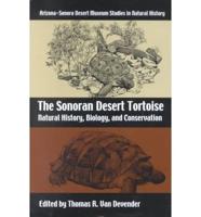 The Sonoran Desert Tortoise