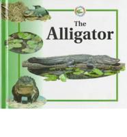 The Alligator