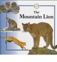 The Mountain Lion