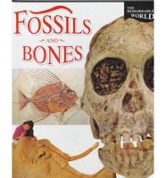 Fossils and Bones