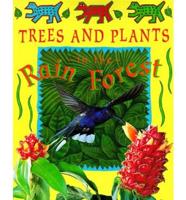 Trees and Plants in the Rain Forest