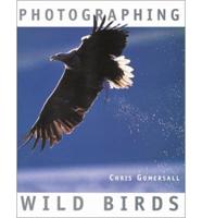 Photographing Wild Birds