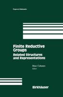 Finite Reductive Groups