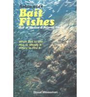 Saltwater Bait Fishes