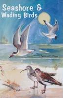 Seashore and Wading Birds of Florida