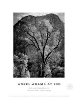 Autumn Tree Against Cathedral Rocks, Yosemite 1944