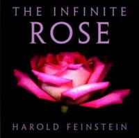 The Infinite Rose