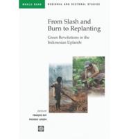 From Slash-and-Burn to Replanting