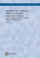 Enterprise Size, Financing Patterns, and Credit Constraints in Brazil