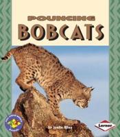 Pouncing Bobcats