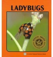 Ladybugs