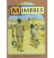 A Day With a Mimbres