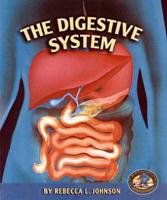 The Digestive System