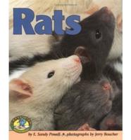 Rats