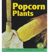 Popcorn Plants