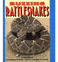 Buzzing Rattlesnakes