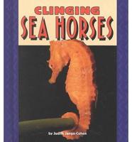 Clinging Sea Horses