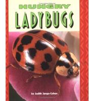 Hungry Ladybugs