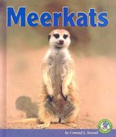 Meerkats