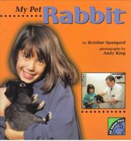 My Pet Rabbit