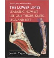The Lower Limbs