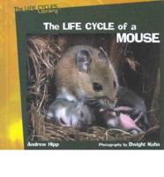 The Life Cycle of a Mouse